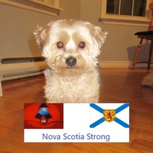 Meet your Posher, Tamara